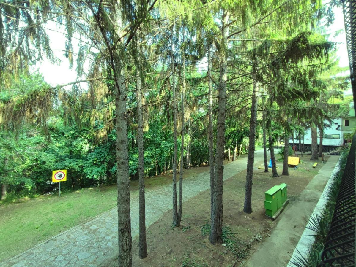 Park Hotel Briz Golden Sands Eksteriør billede